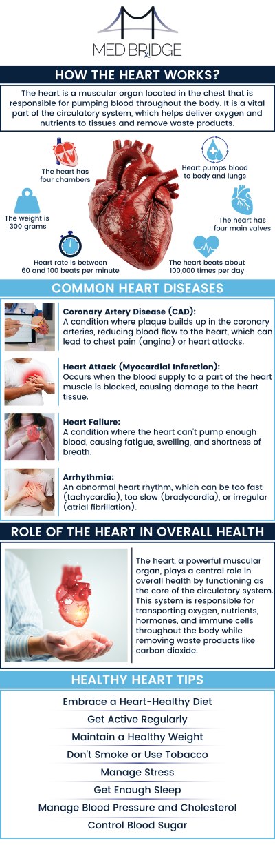 To consult our professionals, please contact us or book an appointment online. We have three convenient locations in Fairmont, Kingwood, and Mannington, WV.