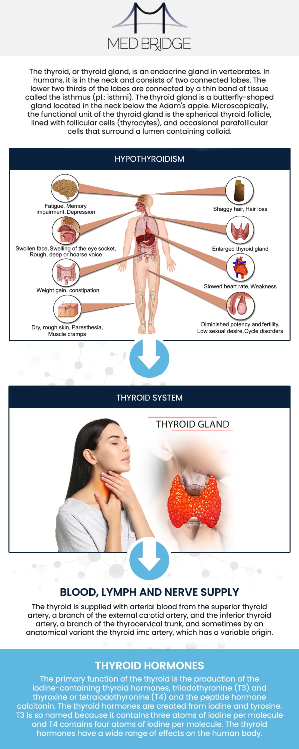 To consult our professionals, please contact us or book an appointment online. We have three convenient locations in Fairmont, Kingwood, and Mannington, WV.